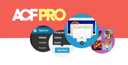 Advanced Custom Fields (ACF) Pro WordPress Eklentisi