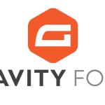 Gravity Forms Pro WordPress Eklentisi
